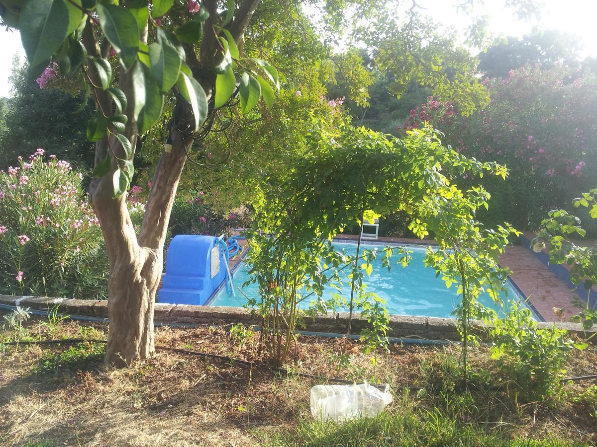 Finca La Carnicera コンスタンティナ エクステリア 写真
