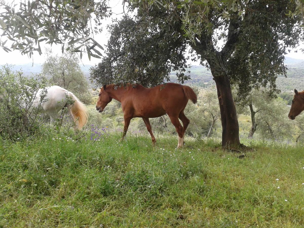 Finca La Carnicera コンスタンティナ エクステリア 写真