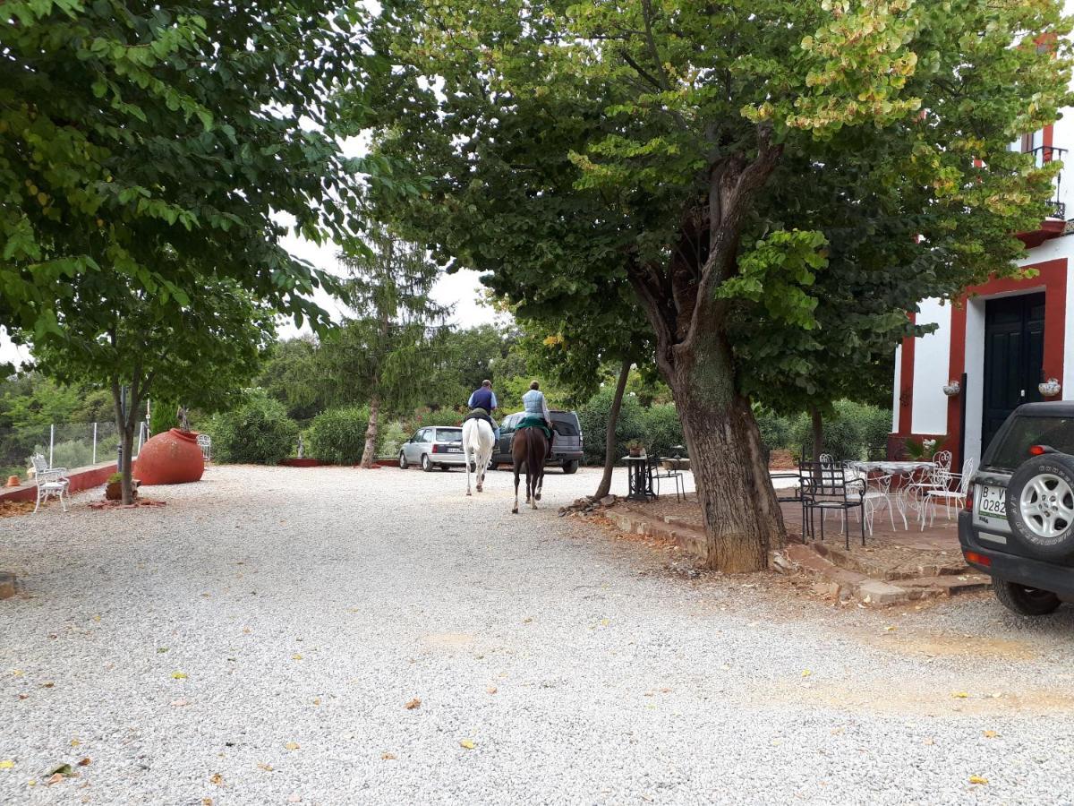 Finca La Carnicera コンスタンティナ エクステリア 写真