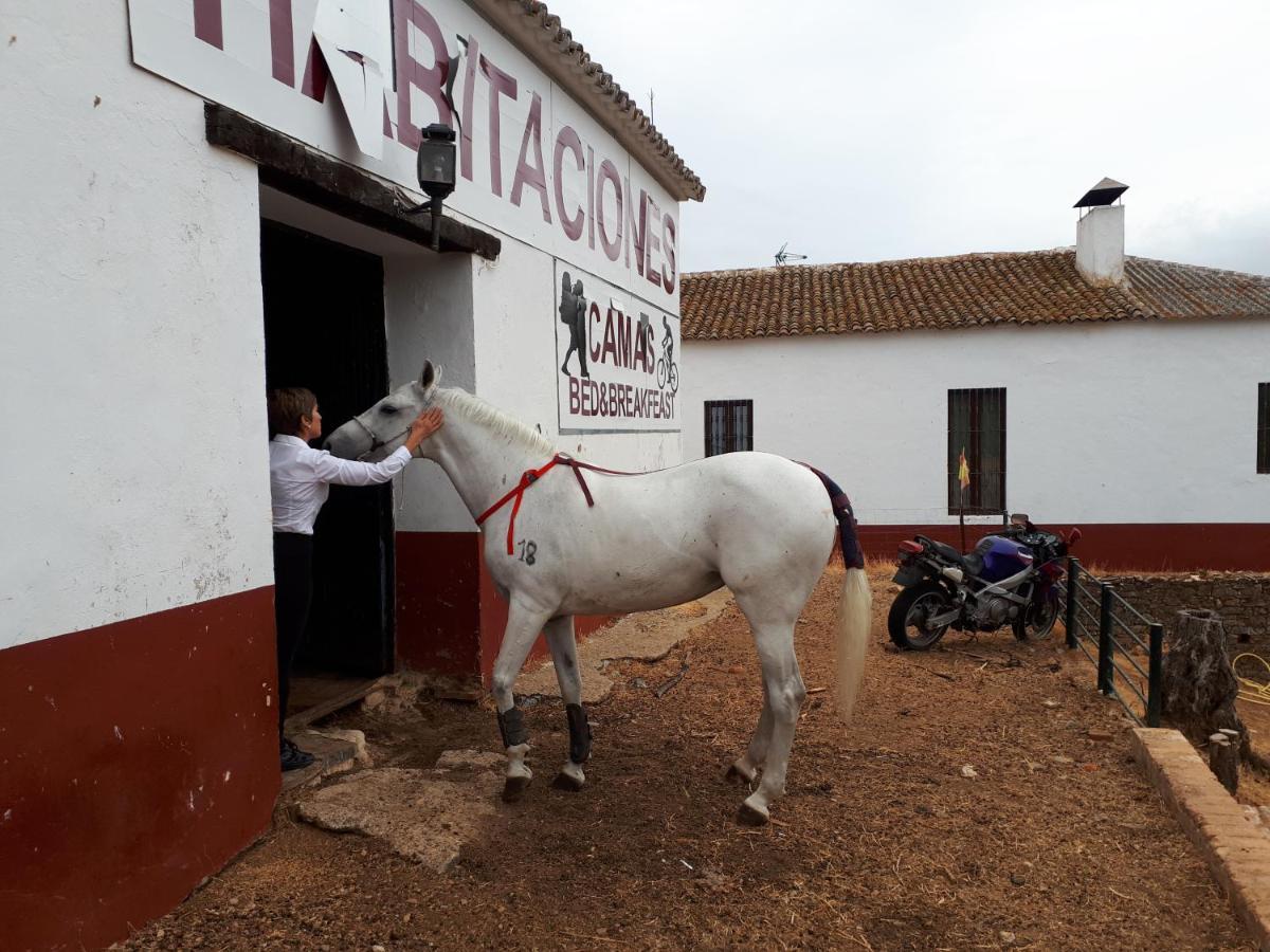 Finca La Carnicera コンスタンティナ エクステリア 写真